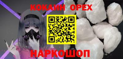 бошки Кингисепп