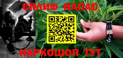бошки Кингисепп