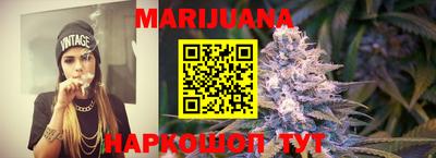 бошки Кингисепп