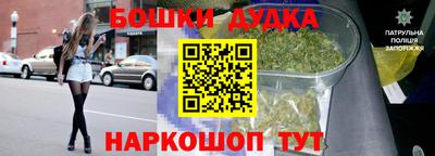 бошки Кингисепп