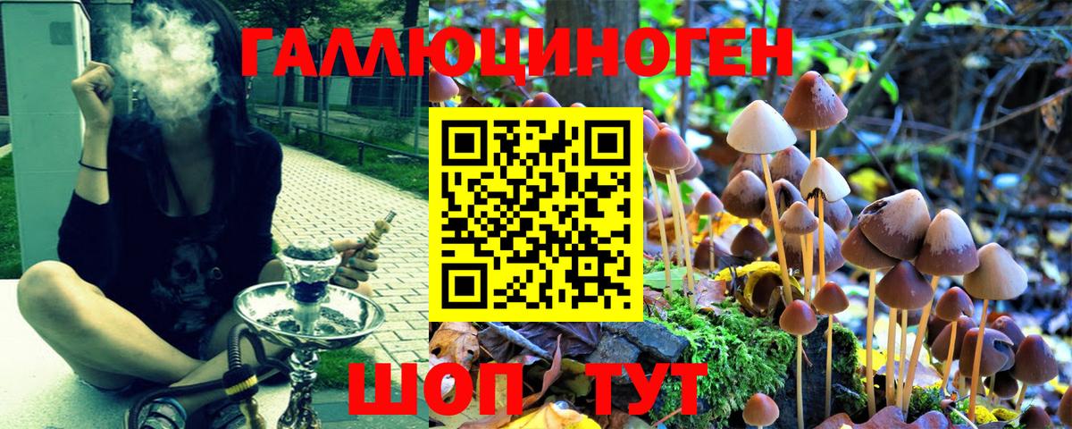 Галлюциногенные грибы MAGIC MUSHROOMS Кострома