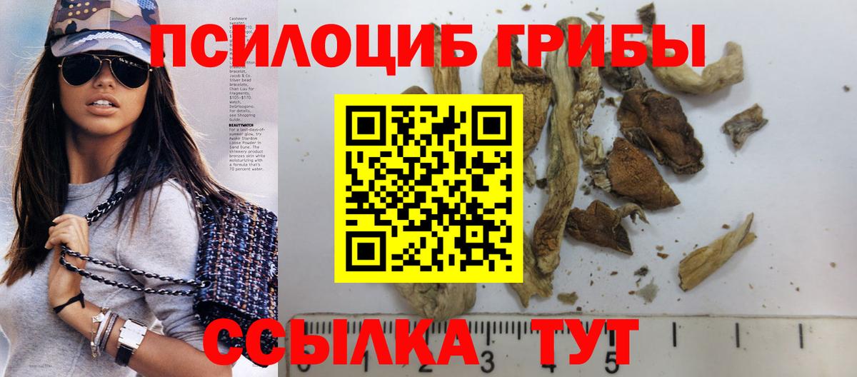 Кострома  Псилоцибиновые грибы мухоморы  Вход с VPN 